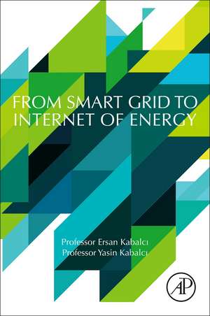 From Smart Grid to Internet of Energy de Ersan Kabalci