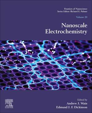 Nanoscale Electrochemistry de Andrew J. Wain