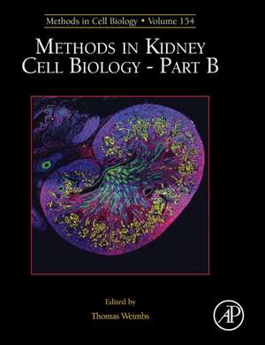 Methods in Kidney Cell Biology Part B de Thomas Weimbs