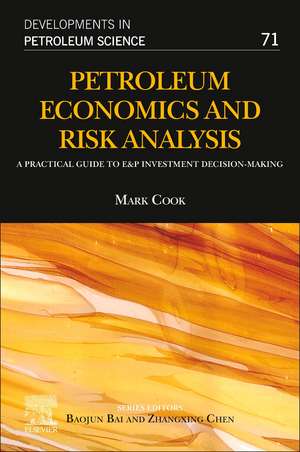 Petroleum Economics and Risk Analysis: A Practical Guide to E&P Investment Decision-Making de Mark Cook