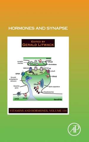 Hormones and Synapse de Gerald Litwack