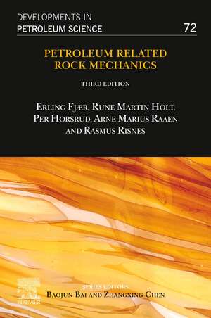 Petroleum Related Rock Mechanics de Erling Fjær