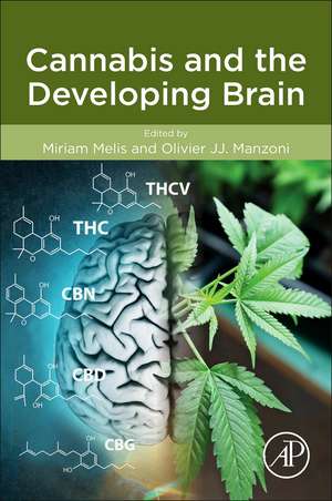 Cannabis and the Developing Brain de Miriam Melis