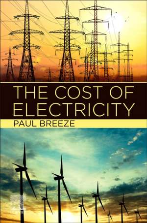 The Cost of Electricity de Paul Breeze