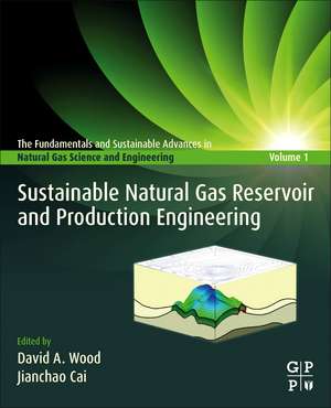 Sustainable Natural Gas Reservoir and Production Engineering de David A. Wood