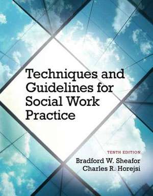 Sheafor, B: Techniques and Guidelines for Social Work Practi