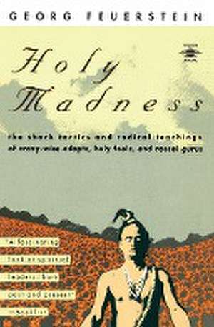 Holy Madness de Georg Feuerstein