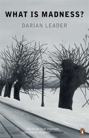 What is Madness? de Darian Leader