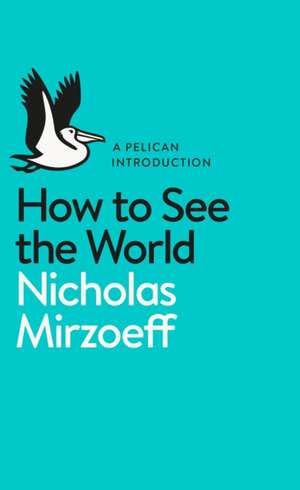 How to See the World de Nicholas Mirzoeff