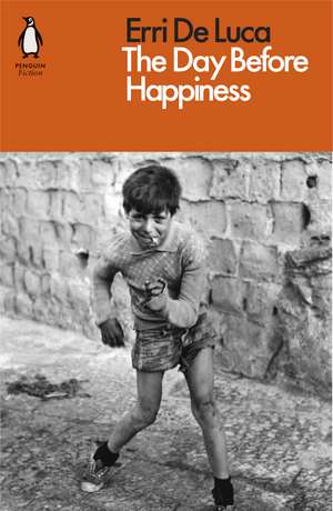 Day Before Happiness de Erri De Luca