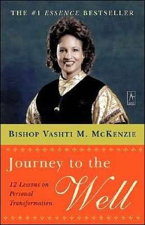 Journey to the Well: 12 Lessons on Personal Transformation de Vashti Murphy McKenzie