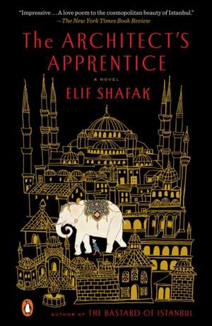 The Architect's Apprentice de Shafak, Elif