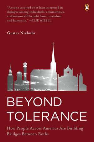 Beyond Tolerance: How People Across America Are Building Bridges Between Faiths de Gustav Niebuhr