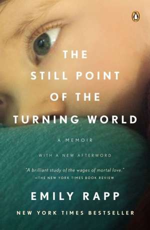 The Still Point of the Turning World de Emily Rapp