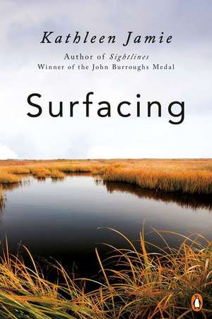 Surfacing de Kathleen Jamie