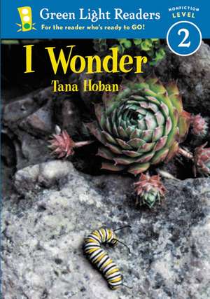 I Wonder de Tana Hoban