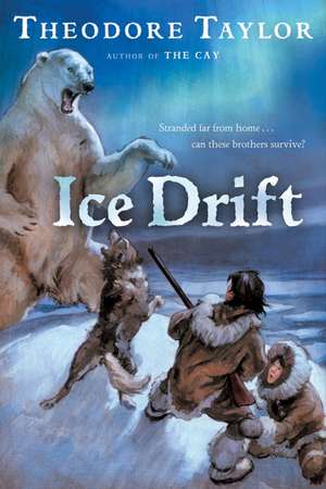 Ice Drift de Theodore Taylor