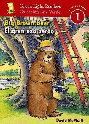 El gran oso pardo/Big Brown Bear de David McPhail