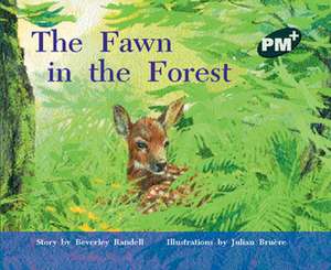 The Fawn in the Forest PM PLUS Level 14 Green