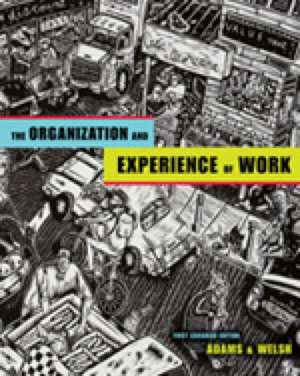 Organization and Experience of Work de ADAMS WELSH