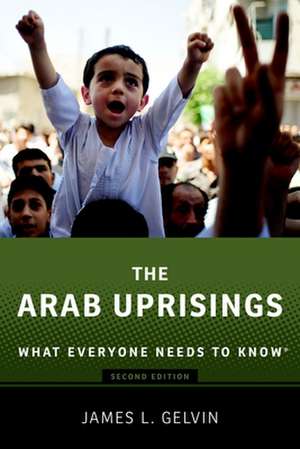 The Arab Uprisings: What Everyone Needs to Know® de James Gelvin