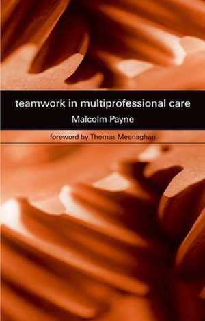 Teamwork in Multiprofessional Care de Malcolm Payne