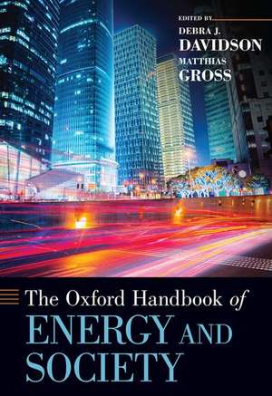 The Oxford Handbook of Energy and Society de Debra J. Davidson