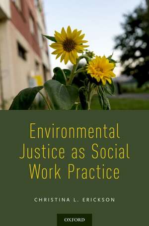 Environmental Justice as Social Work Practice de Christina L. Erickson