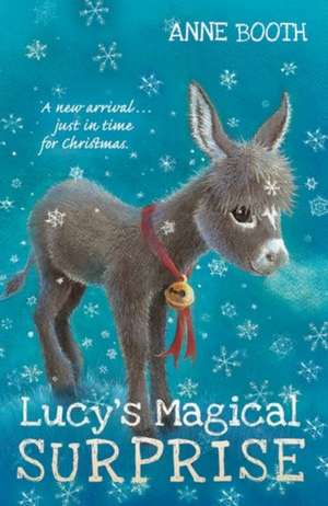 Lucy's Magical Surprise de Anne Booth