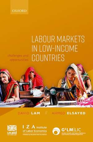 Labour Markets in Low-Income Countries: Challenges and Opportunities de David Lam