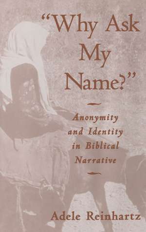 'Why Ask My Name?': Anonymity and Identity in Biblical Narrative de Adele Reinhartz