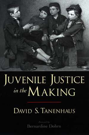 Juvenile Justice in the Making de David S. Tanenhaus