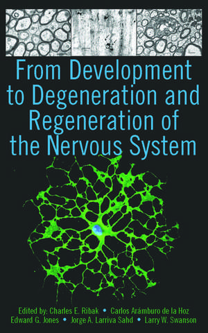 From Development to Degeneration and Regeneration of the Nervous System de Charles E. Ribak PhD