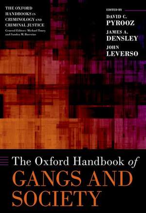 The Oxford Handbook of Gangs and Society de David C. Pyrooz