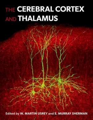 The Cerebral Cortex and Thalamus de W. Martin Usrey