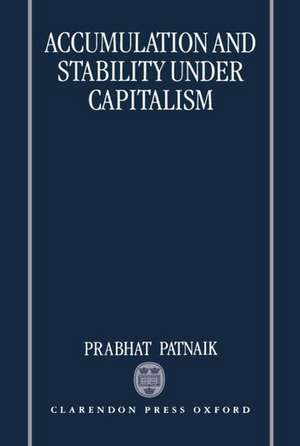 Accumulation and Stability under Capitalism de Prabhat Patnaik