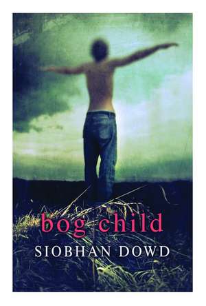 Rollercoasters: Bog Child Class Pack de Siobhan Dowd