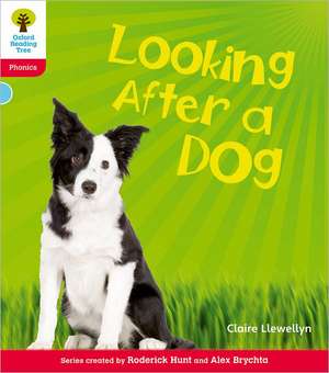 Oxford Reading Tree: Level 4: Floppy's Phonics Non-Fiction: Looking After a Dog de Claire Llewellyn