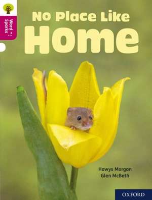 Oxford Reading Tree Word Sparks: Level 10: No Place Like Home de Hawys Morgan