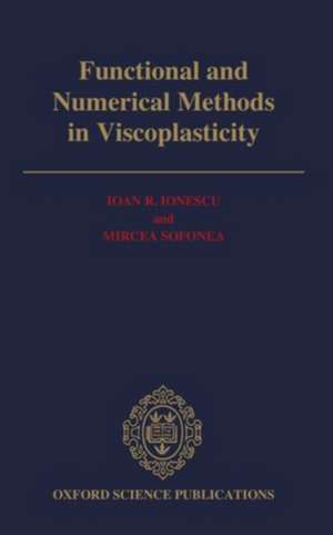 Functional and Numerical Methods in Viscoplasticity de Ioau R. Ionescu