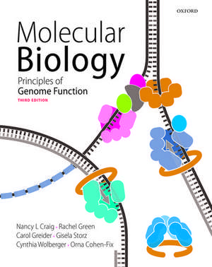 Molecular Biology: Principles of Genome Function de Nancy Craig