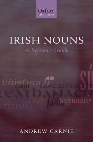 Irish Nouns: A Reference Guide de Andrew Carnie