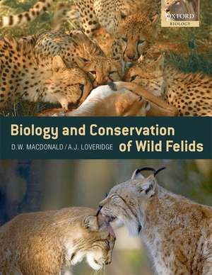 The Biology and Conservation of Wild Felids de David MacDonald