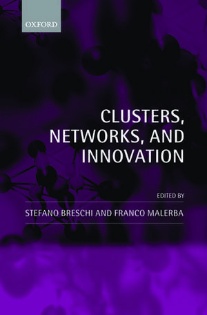 Clusters, Networks and Innovation de Stefano Breschi