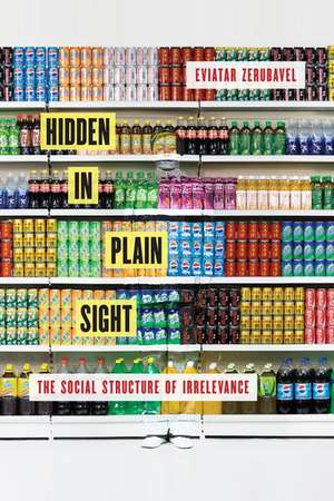 Hidden in Plain Sight: The Social Structure of Irrelevance de Eviatar Zerubavel