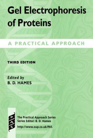 Gel Electrophoresis of Proteins: A Practical Approach de B. D. Hames