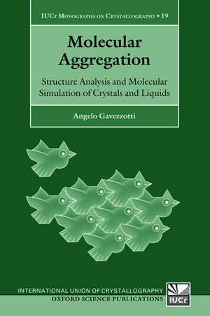 Molecular Aggregation: Structure Analysis and Molecular Simulation of Crystals and Liquids de Angelo Gavezzotti