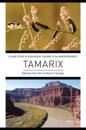 Tamarix: A Case Study of Ecological Change in the American West de Anna Sher