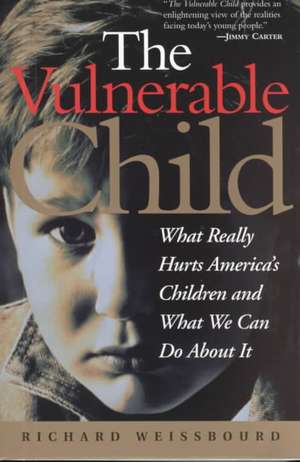 The Vulnerable Child: What Really Hurts America's Children And What We Can Do About It de Richard Weissbourd