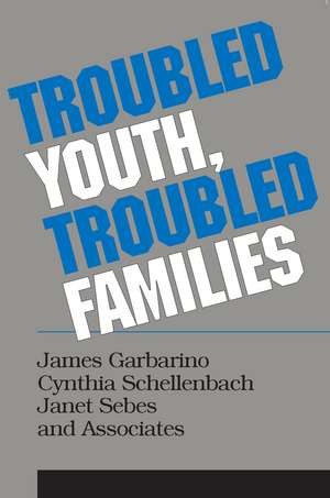 Troubled Youth, Troubled Families: Understanding Families at Risk for Adolescent Maltreatment de Cynthia Schellenbach